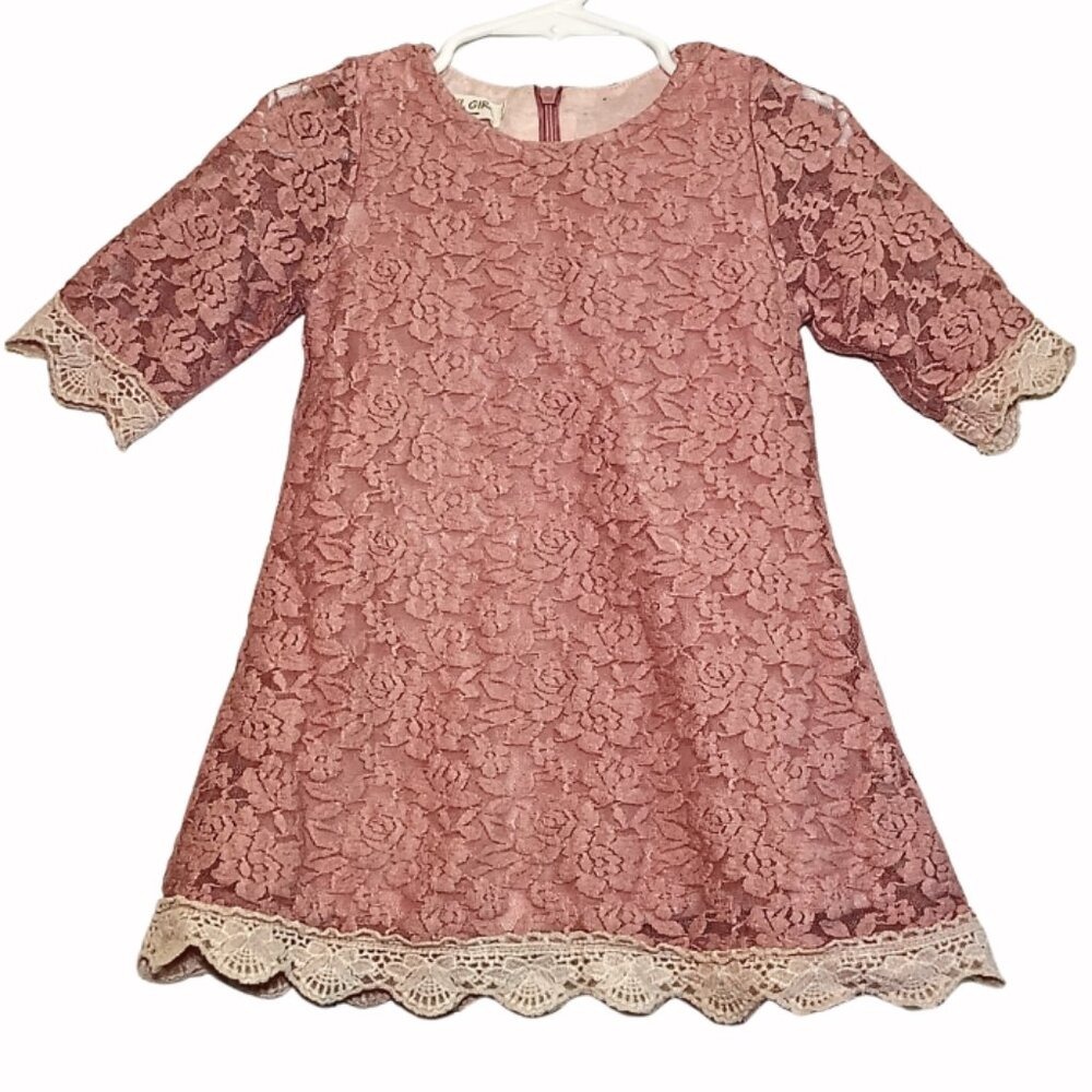 April Girl Girls 5T Pink Rose Floral Lace A-Line Flower Girl Dress Party Fairy